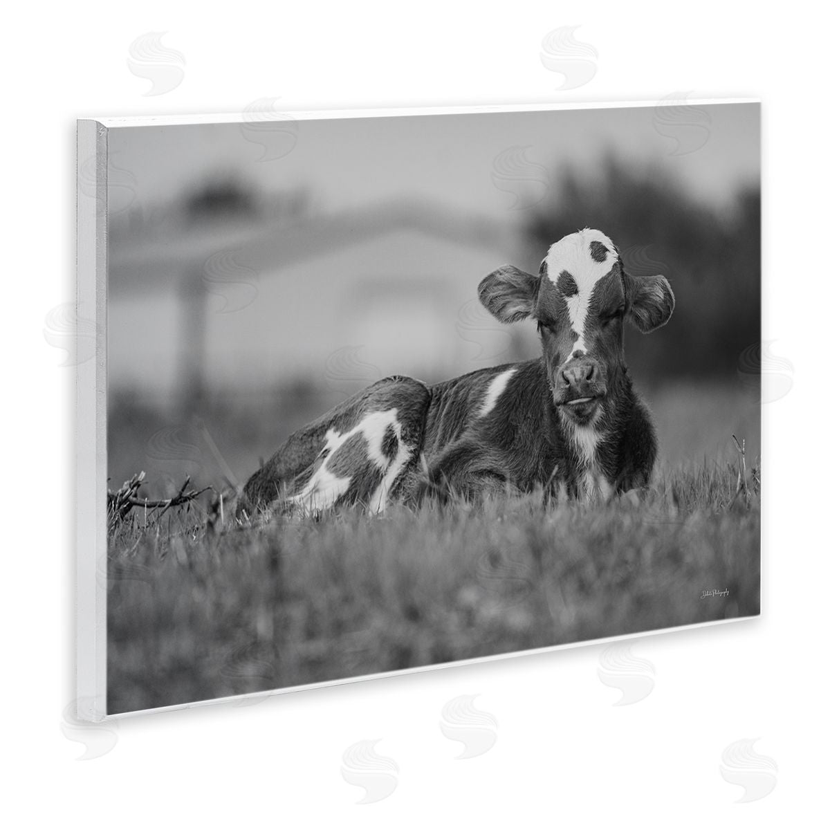 Resting Cow in Grass Wood Plaque Wall Art, Home Decor by Dakota Diener