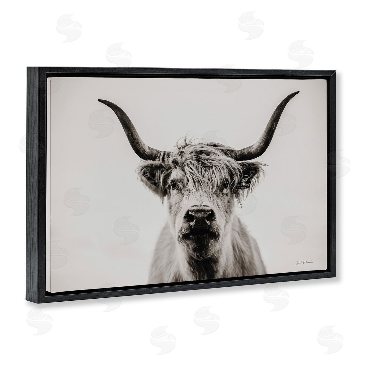 Calm Cattle Portrait Black Floating Frame Canvas Wall Art, Home Decor by Dakota Diener