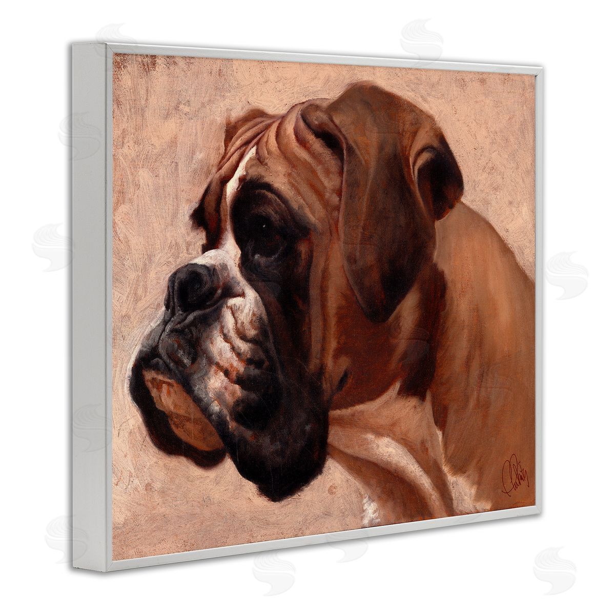 Boxer Dog Neutral Portrait White Frame Print Wall Art, Home Decor by Thomas Fluharty