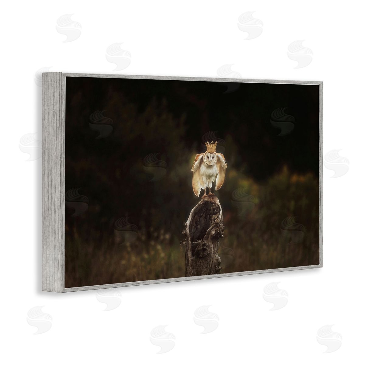 Crowned Owl Perched Grey Frame Print Wall Art, Home Decor by Carrie Ann Grippo-Pike