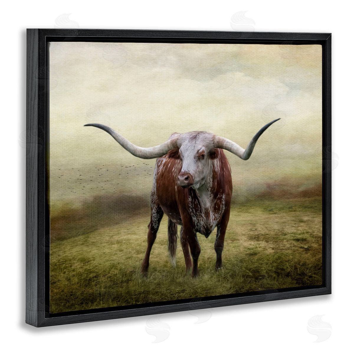 Pride Of The Longhorn Black Floating Frame Canvas Wall Art, Home Decor by Kelley Parker