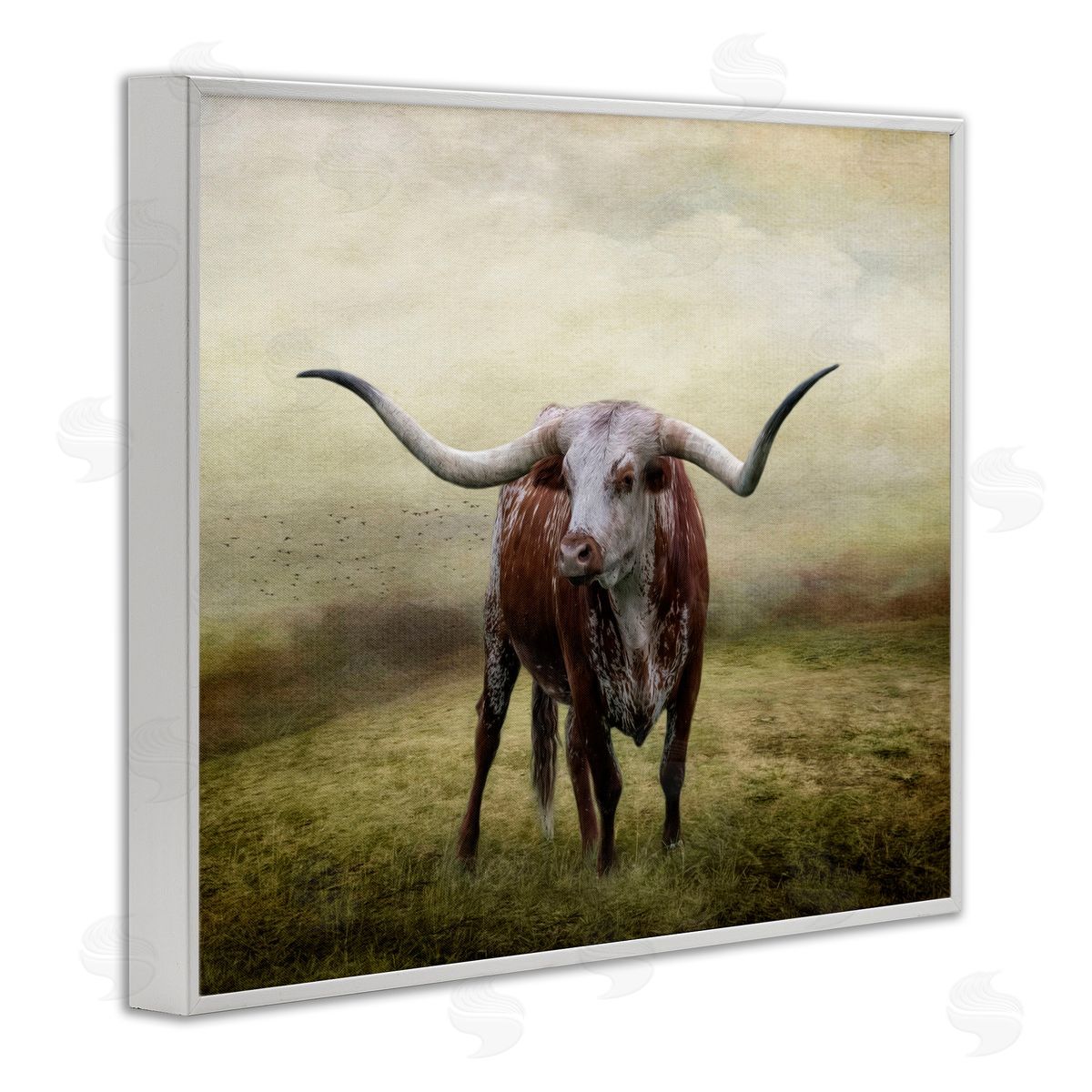Pride Of The Longhorn White Frame Print Wall Art, Home Decor by Kelley Parker