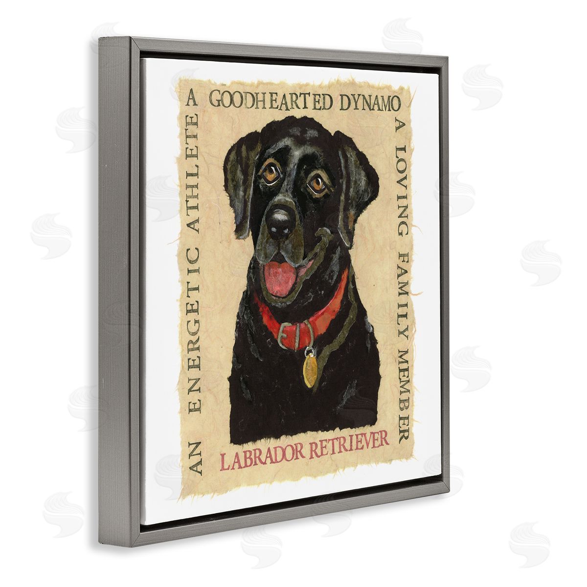 Nancy Overton Fun Black Labrador Phrases Gray Floating Frame Canvas Wall Art Print