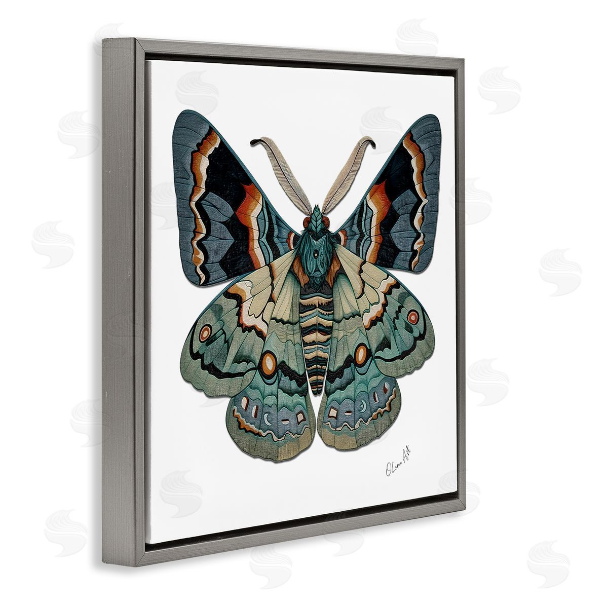 Lena Owens Symbol Of Change Moth Gray Floating Frame Canvas Wall Art Print