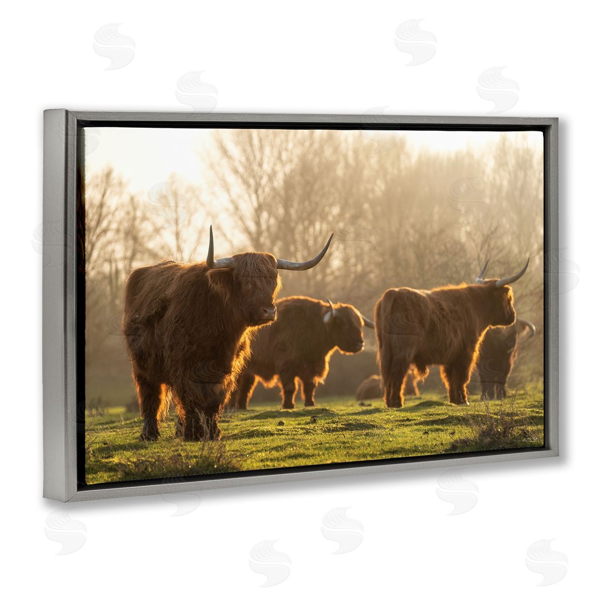 Longhorns in Foggy Pasture Grey Floating Frame Canvas Wall Art, Home Decor by Martin Podt Photography