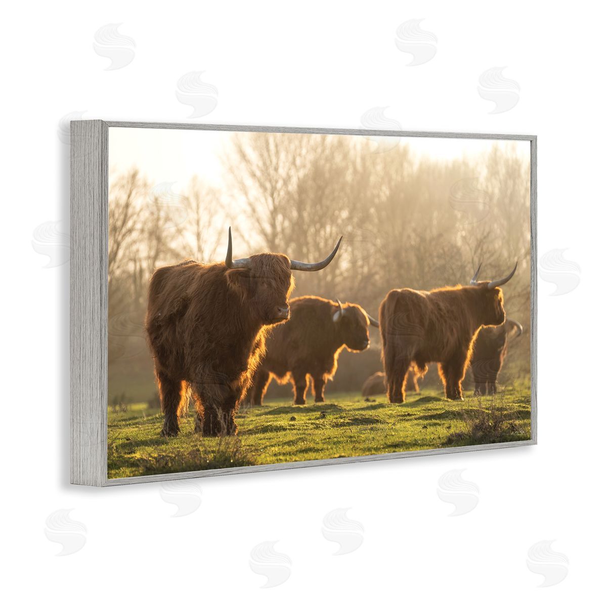 Longhorns in Foggy Pasture Grey Frame Print Wall Art, Home Decor by Martin Podt Photography