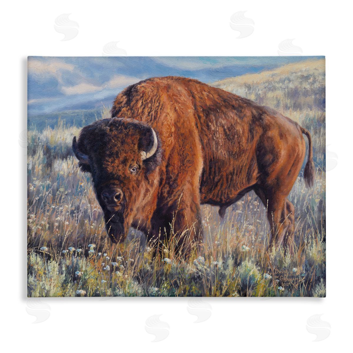 Prairie King Bison Canvas Wall Art, Home Decor by David Graham