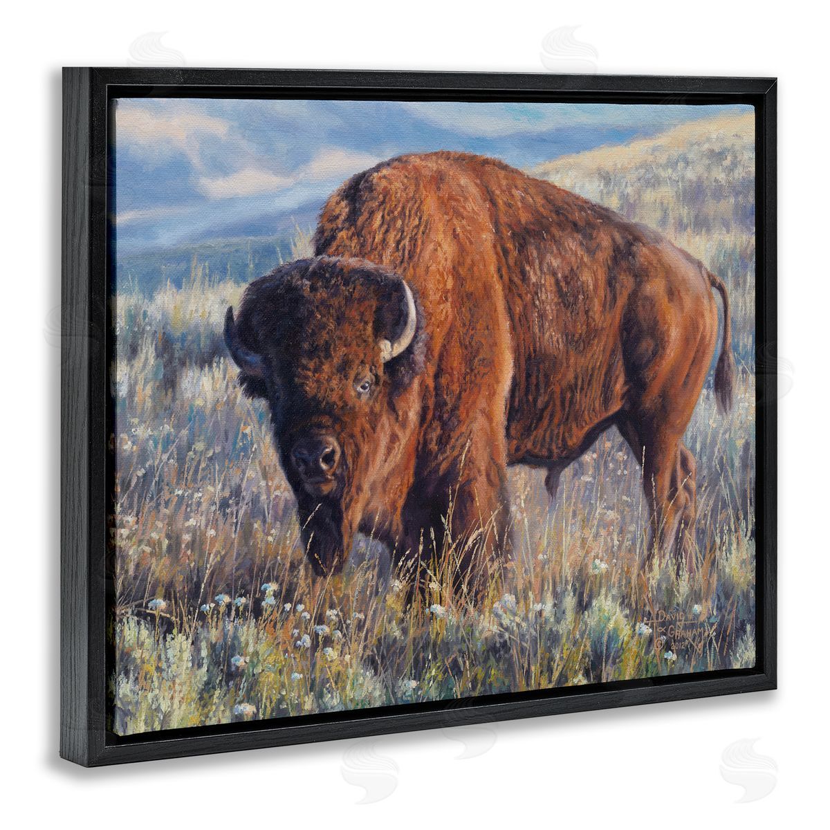 Prairie King Bison Black Floating Frame Canvas Wall Art, Home Decor by David Graham