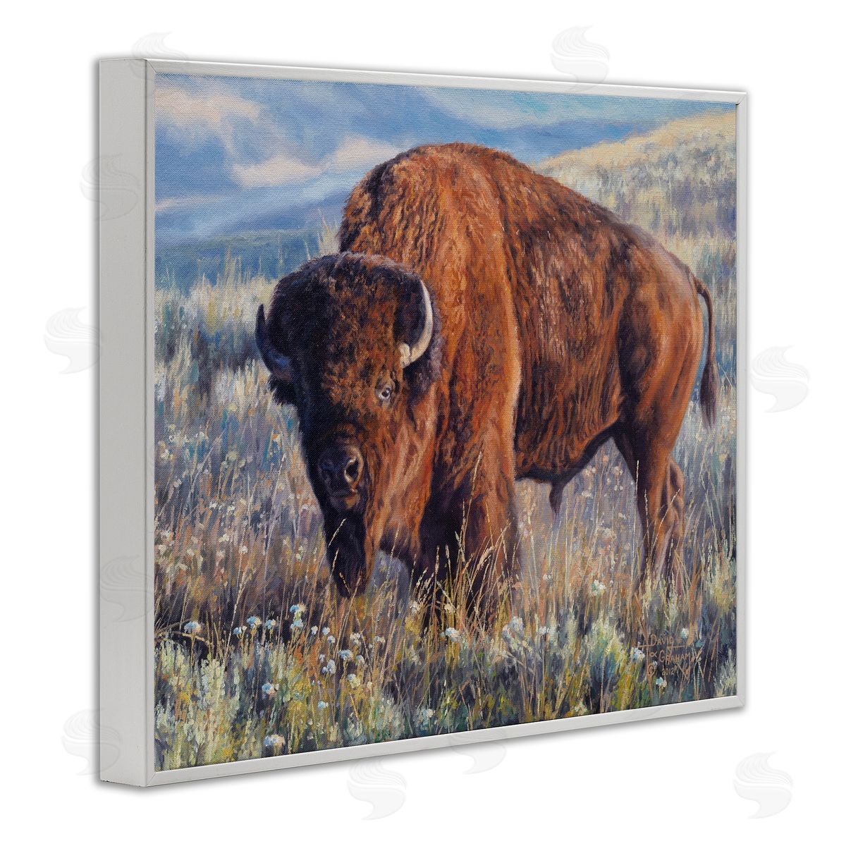 Prairie King Bison White Frame Print Wall Art, Home Decor by David Graham