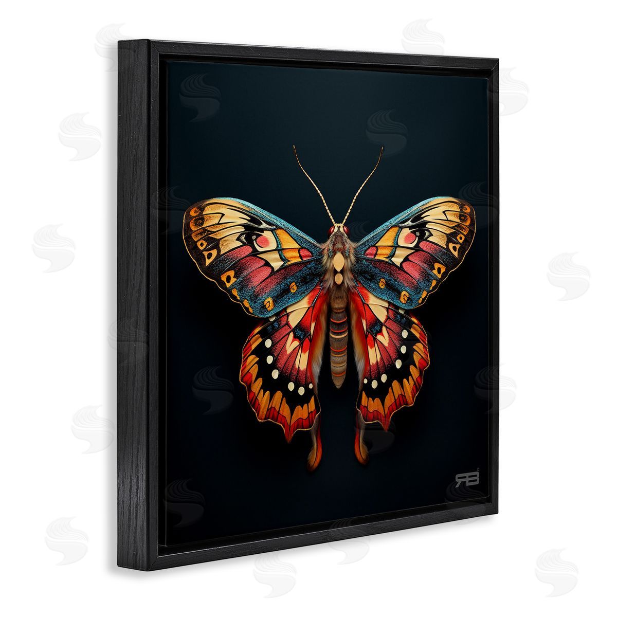 Vivid Patterned Moth Black Floating Frame Canvas Wall Art, Home Decor by Roozbeh Bahramali