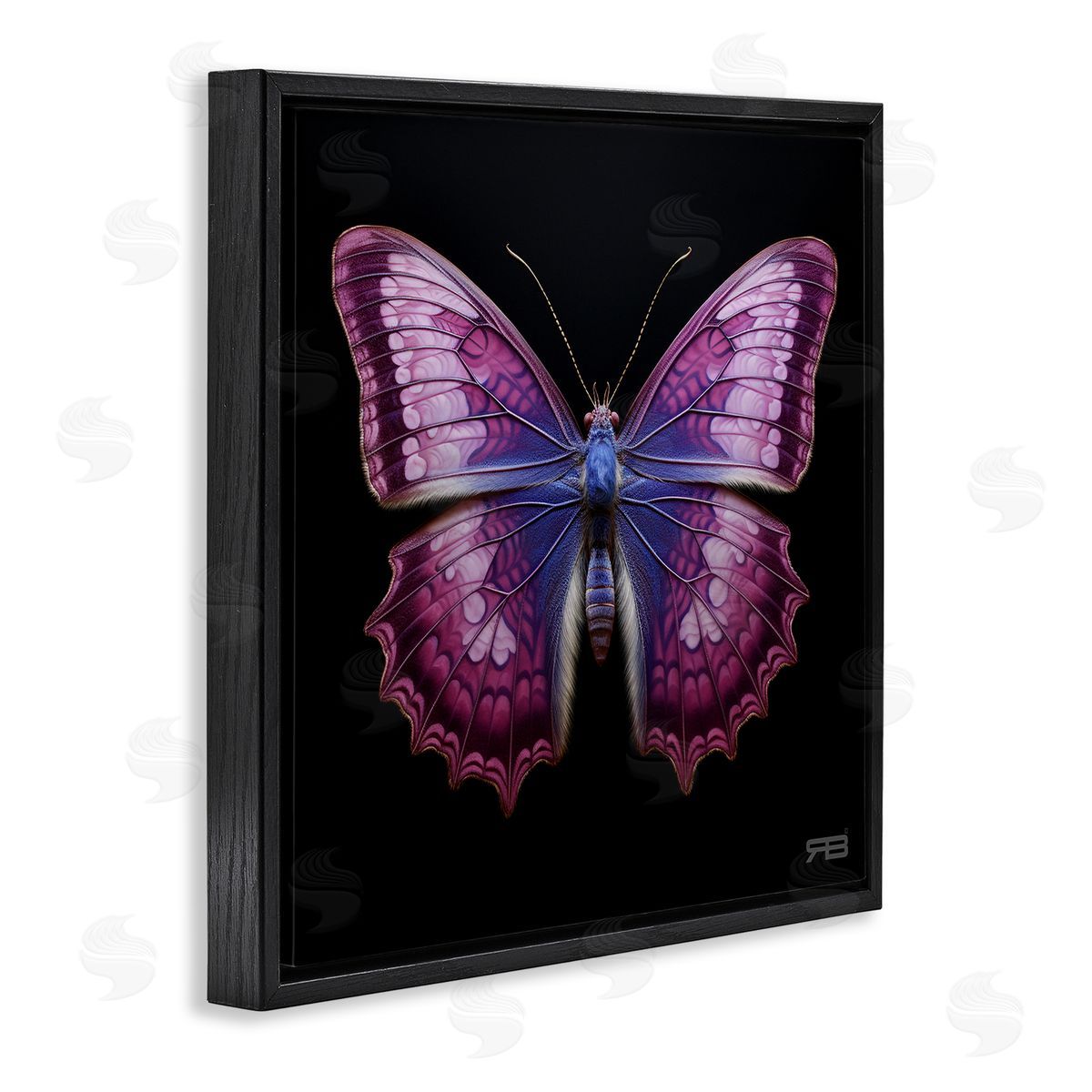 Vivid Purple Butterfly Black Floating Frame Canvas Wall Art, Home Decor by Roozbeh Bahramali