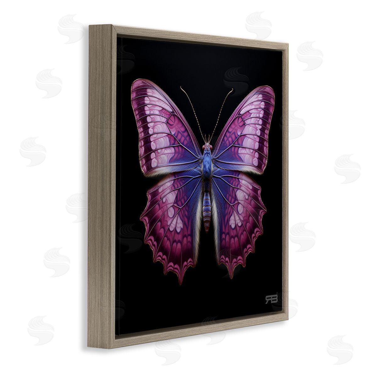 Vivid Purple Butterfly Brown Floating Frame Canvas Wall Art, Home Decor by Roozbeh Bahramali