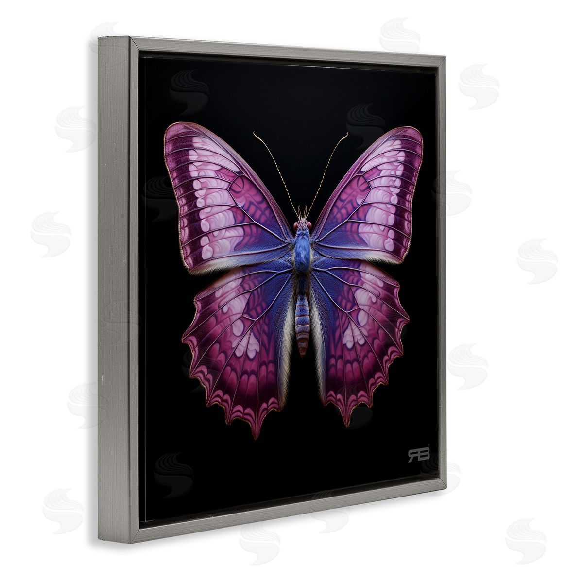 Vivid Purple Butterfly Grey Floating Frame Canvas Wall Art, Home Decor by Roozbeh Bahramali