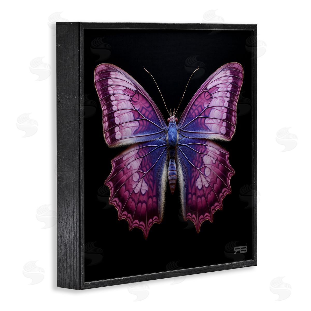 Vivid Purple Butterfly Black Frame Print Wall Art, Home Decor by Roozbeh Bahramali