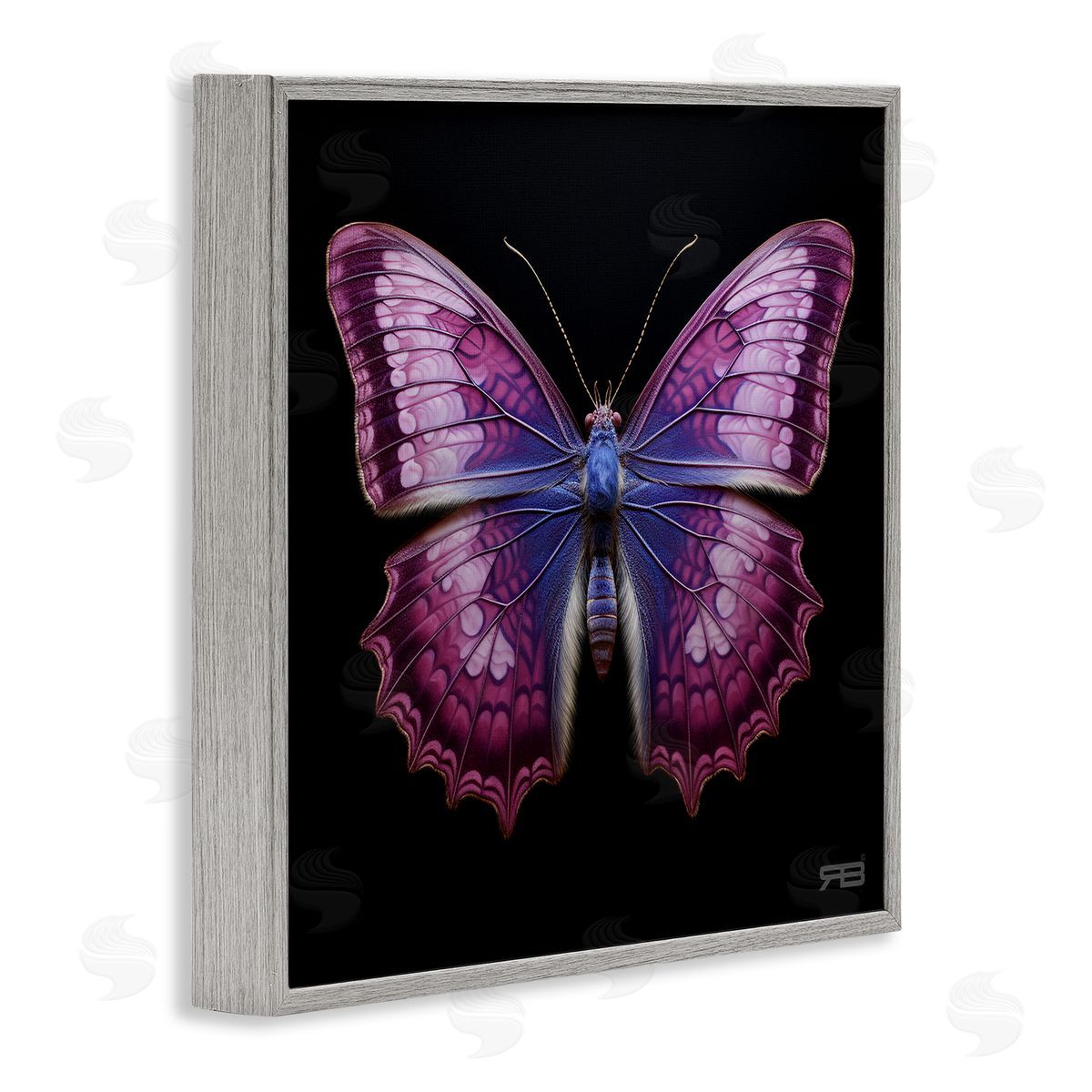 Vivid Purple Butterfly Grey Frame Print Wall Art, Home Decor by Roozbeh Bahramali