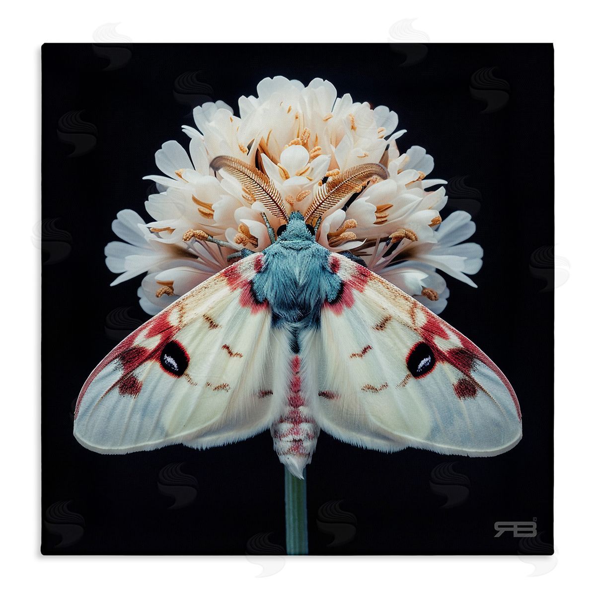 Moth and White Flowers Canvas Wall Art, Home Decor by Roozbeh Bahramali