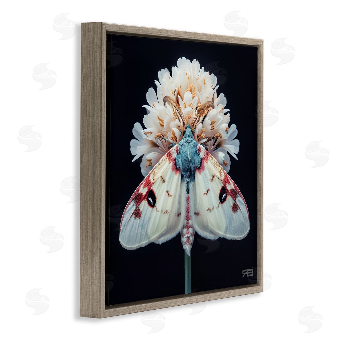 Moth and White Flowers Brown Floating Frame Canvas Wall Art, Home Decor by Roozbeh Bahramali