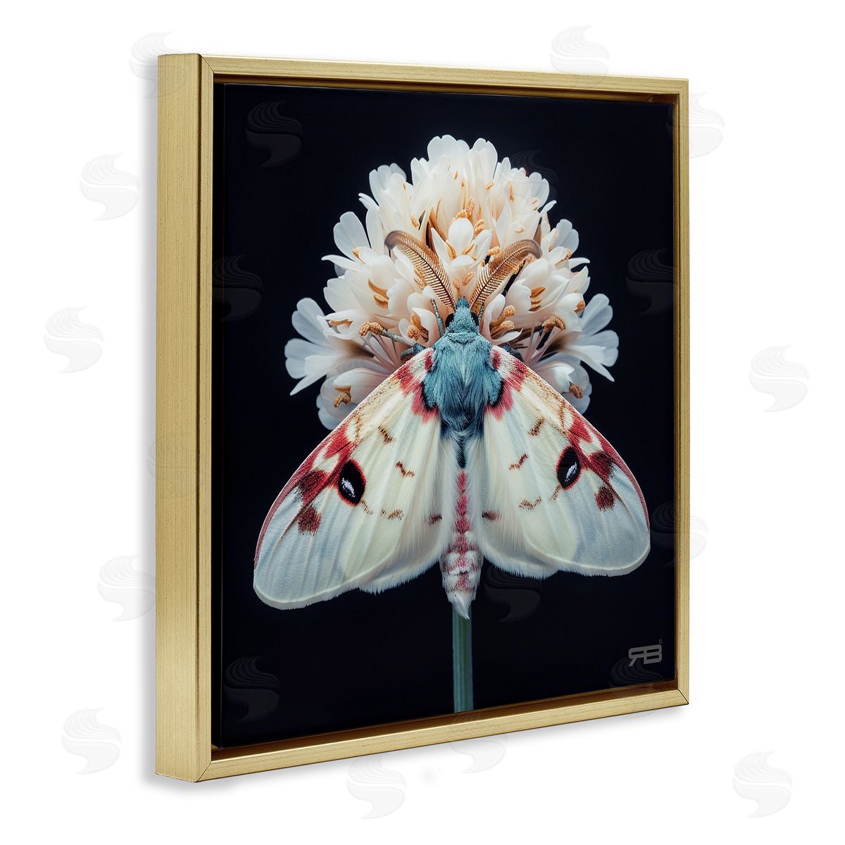 Moth and White Flowers Gold Floating Frame Canvas Wall Art, Home Decor by Roozbeh Bahramali