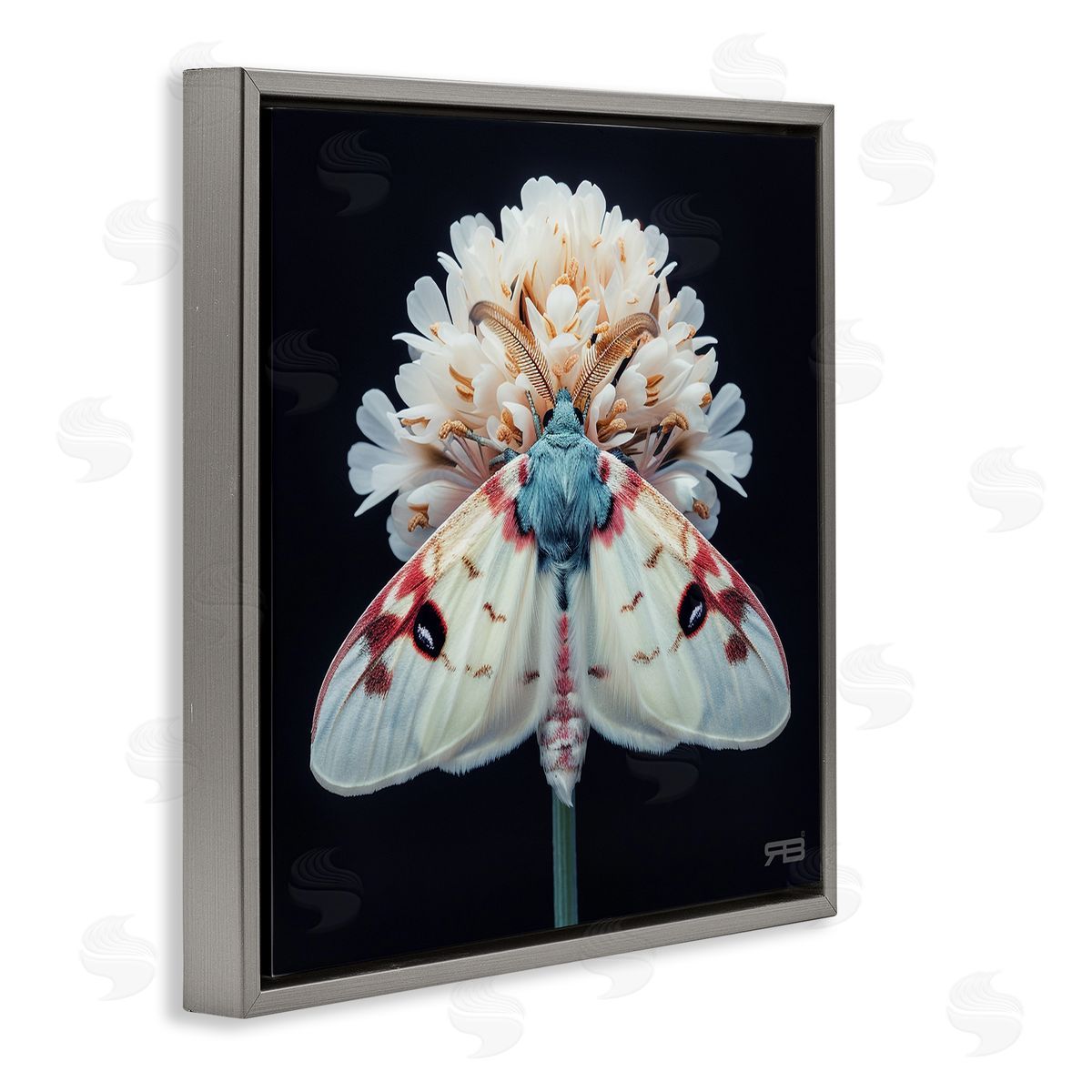 Moth and White Flowers Grey Floating Frame Canvas Wall Art, Home Decor by Roozbeh Bahramali