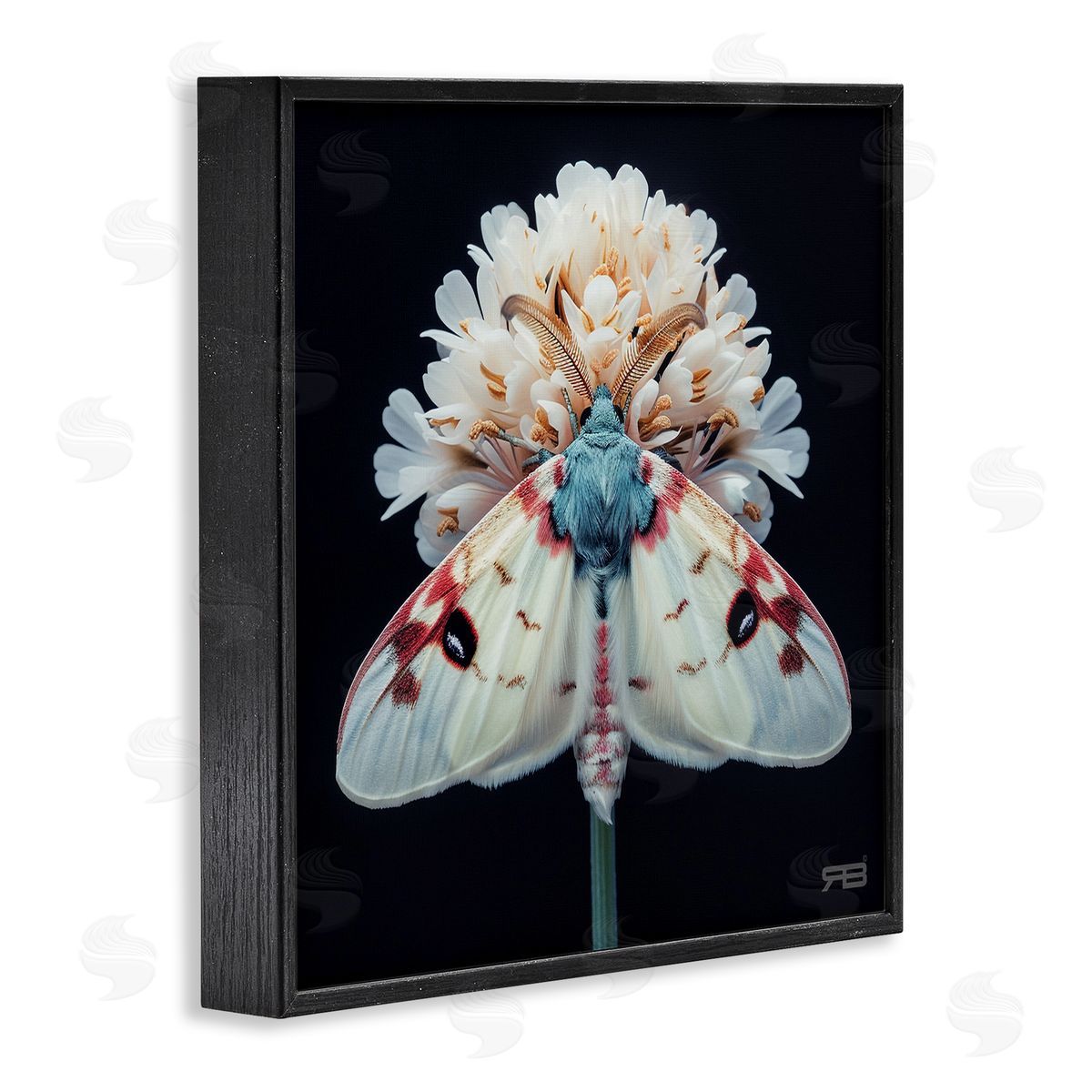 Moth and White Flowers Black Frame Print Wall Art, Home Decor by Roozbeh Bahramali
