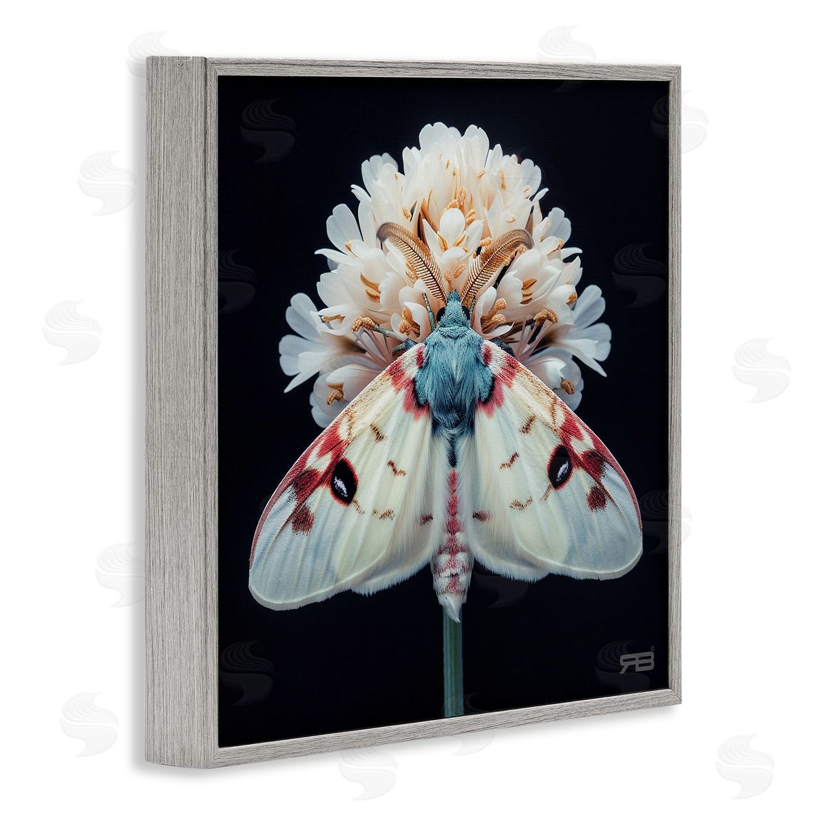 Moth and White Flowers Grey Frame Print Wall Art, Home Decor by Roozbeh Bahramali