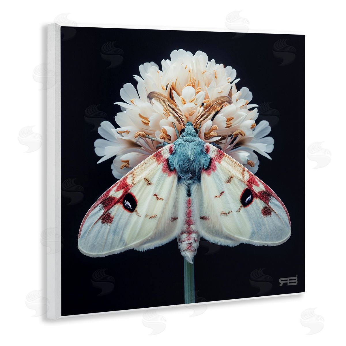 Moth and White Flowers Wood Plaque Wall Art, Home Decor by Roozbeh Bahramali