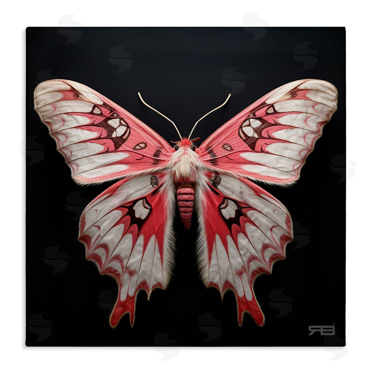Red and White Moth Canvas Wall Art, Home Decor by Roozbeh Bahramali