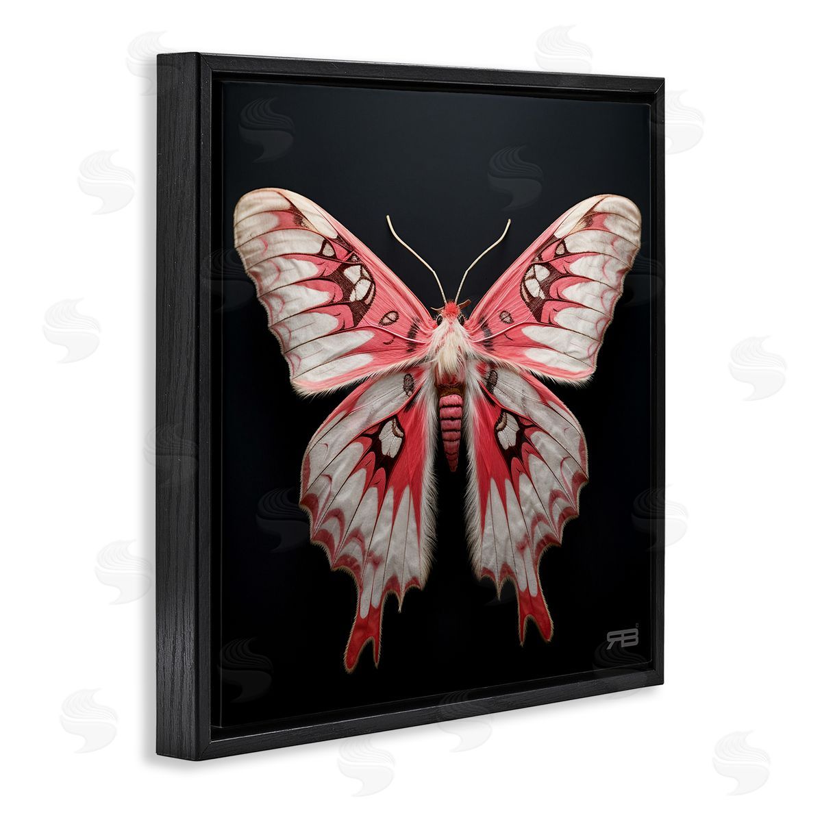Red and White Moth Black Floating Frame Canvas Wall Art, Home Decor by Roozbeh Bahramali
