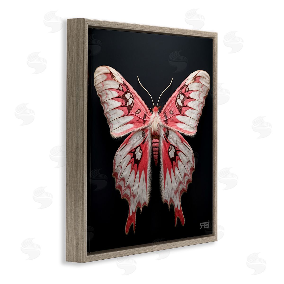 Red and White Moth Brown Floating Frame Canvas Wall Art, Home Decor by Roozbeh Bahramali
