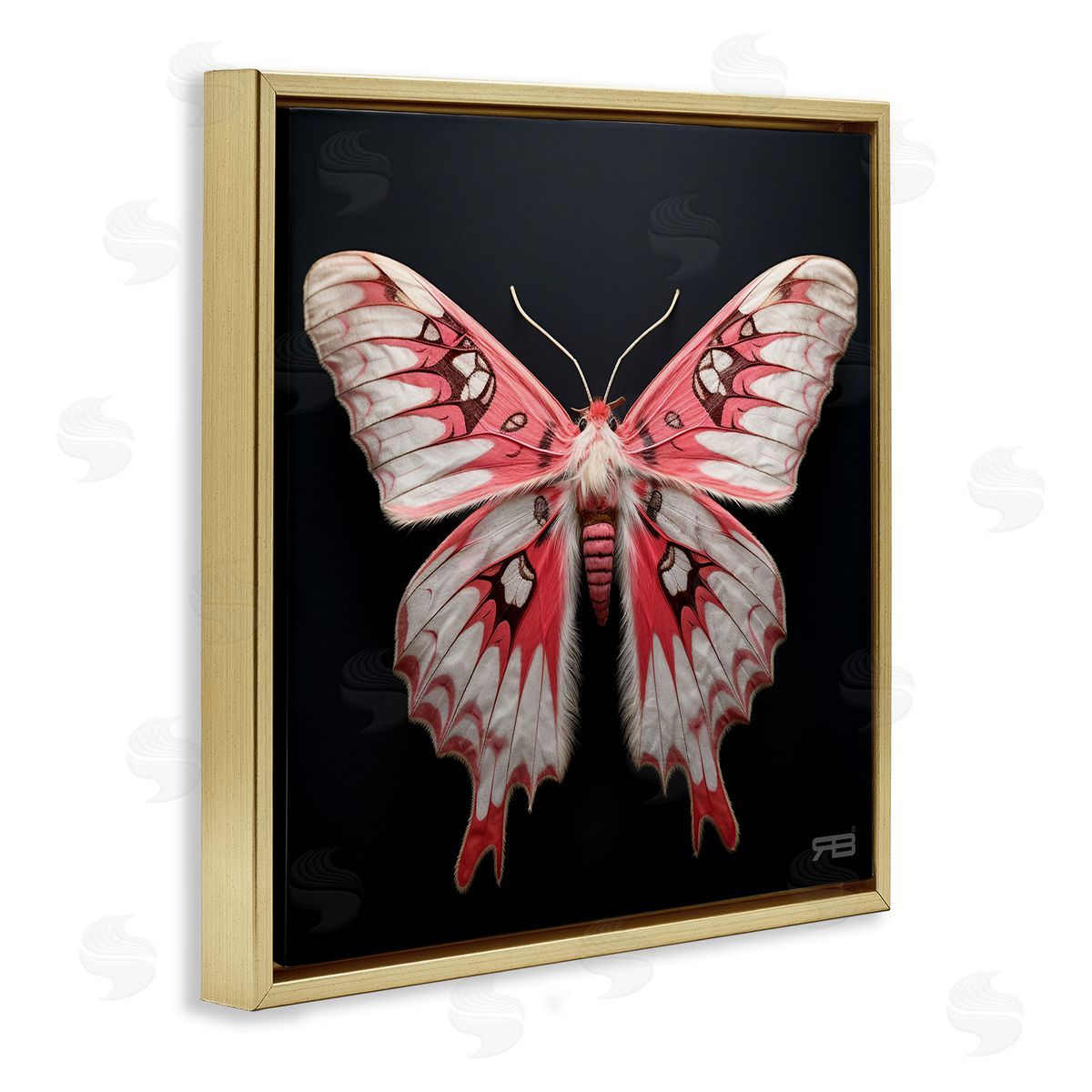 Red and White Moth Gold Floating Frame Canvas Wall Art, Home Decor by Roozbeh Bahramali