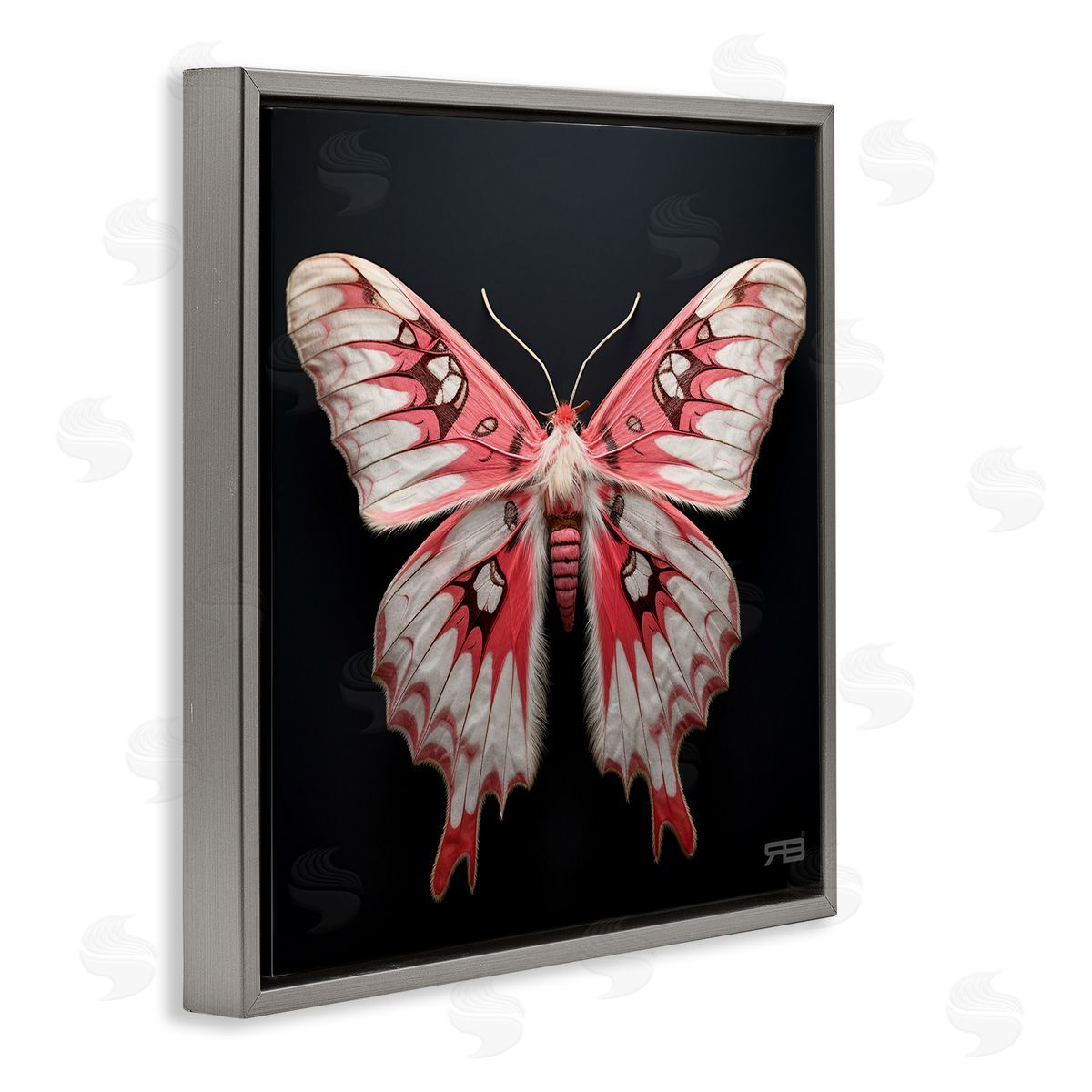 Red and White Moth Grey Floating Frame Canvas Wall Art, Home Decor by Roozbeh Bahramali