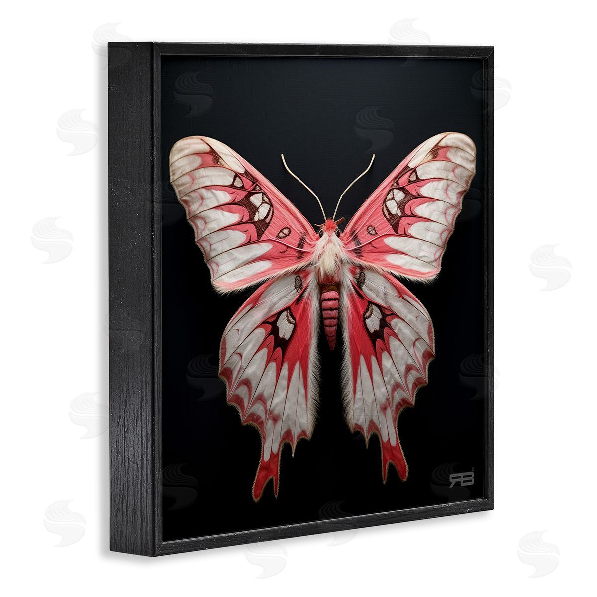 Red and White Moth Black Frame Print Wall Art, Home Decor by Roozbeh Bahramali