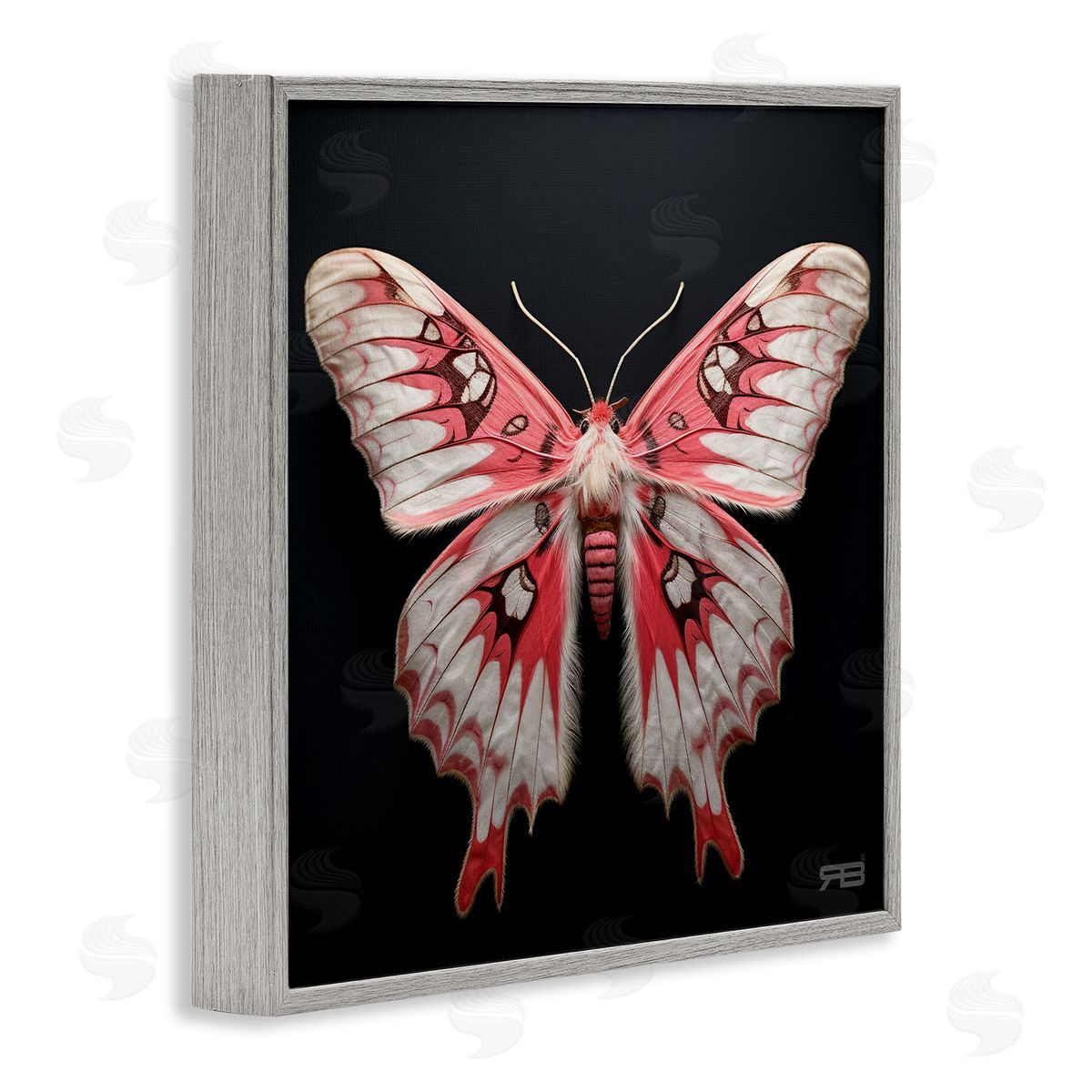 Red and White Moth Grey Frame Print Wall Art, Home Decor by Roozbeh Bahramali