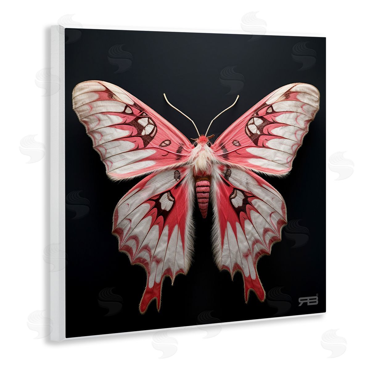 Red and White Moth Wood Plaque Wall Art, Home Decor by Roozbeh Bahramali