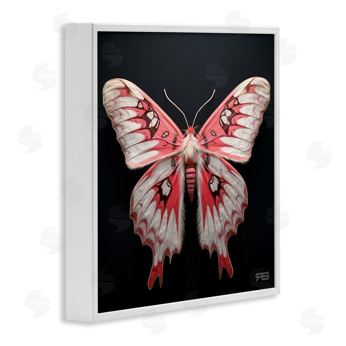 Red and White Moth White Frame Print Wall Art, Home Decor by Roozbeh Bahramali