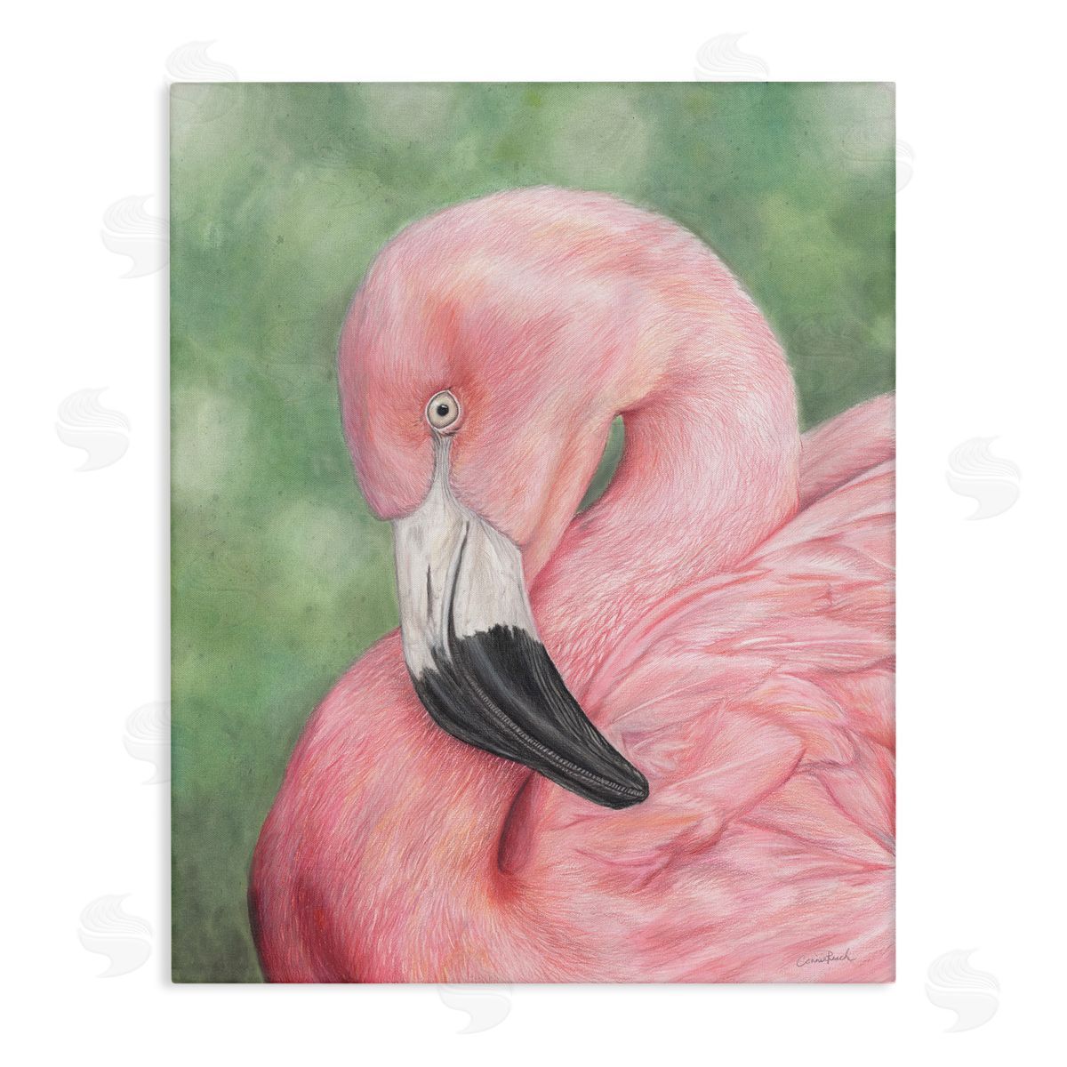 Blushing Flamingo Visage Canvas Wall Art, Home Decor by Connie Resch