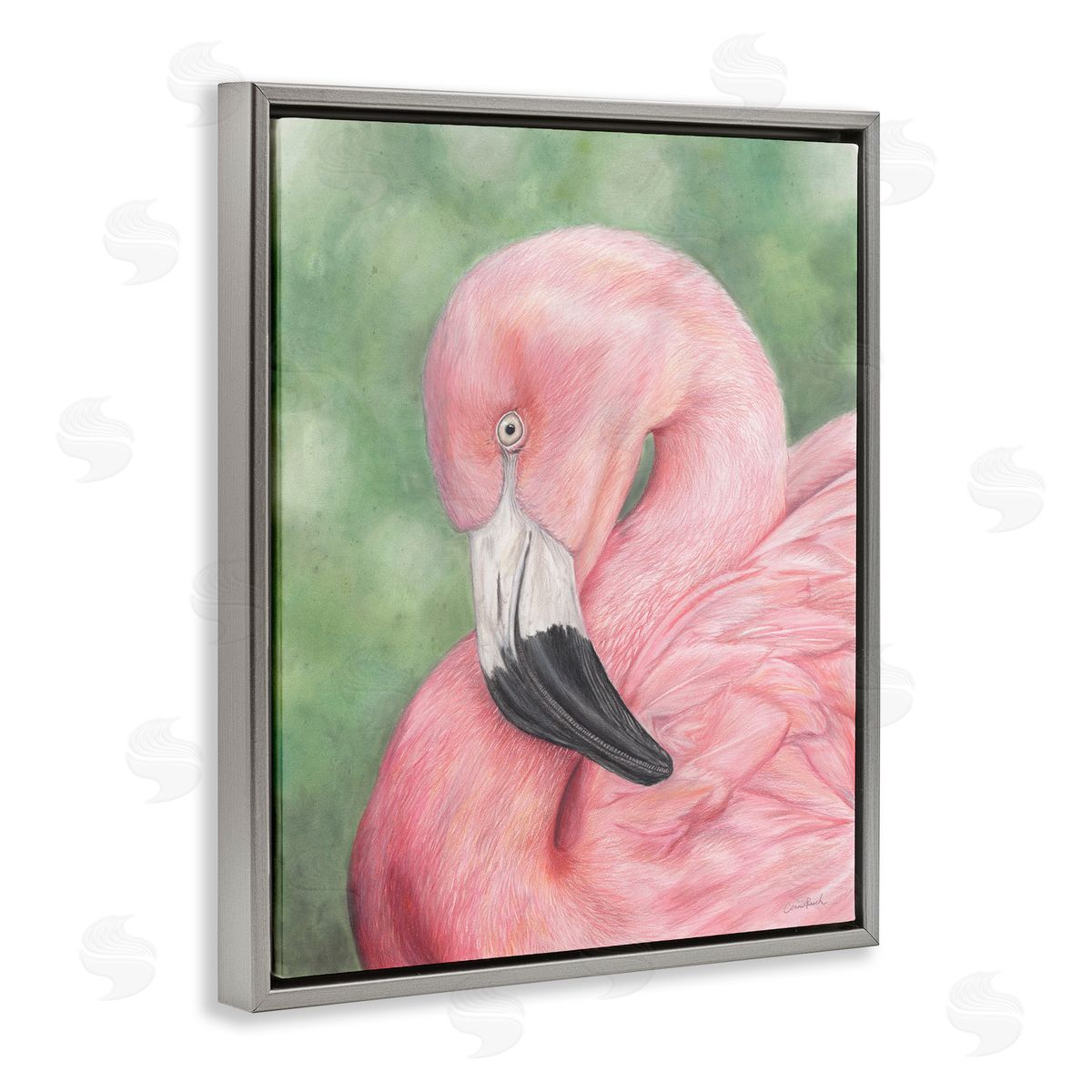 Blushing Flamingo Visage Grey Floating Frame Canvas Wall Art, Home Decor by Connie Resch