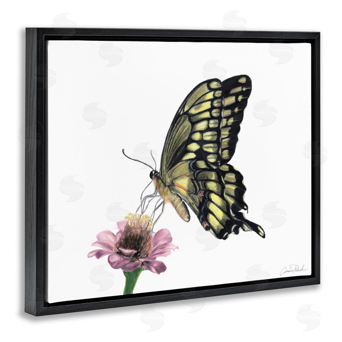 Minimal Butterfly and Flower Black Floating Frame Canvas Wall Art, Home Decor by Connie Resch