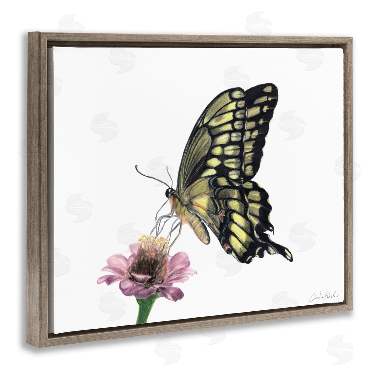 Minimal Butterfly and Flower Brown Floating Frame Canvas Wall Art, Home Decor by Connie Resch