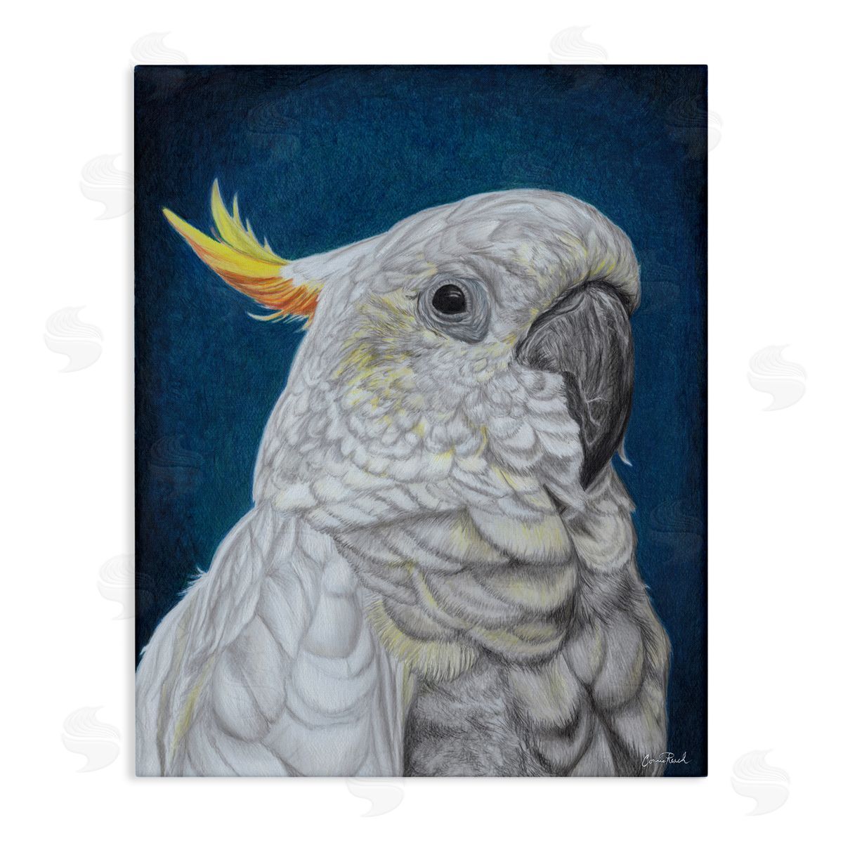 Traditional Cockatoo Visage Canvas Wall Art, Home Decor by Connie Resch