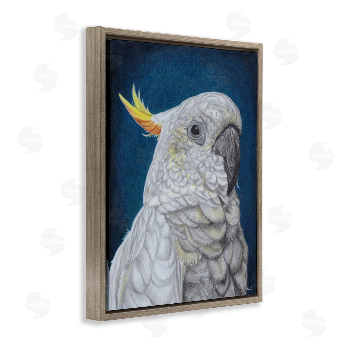 Traditional Cockatoo Visage Brown Floating Frame Canvas Wall Art, Home Decor by Connie Resch