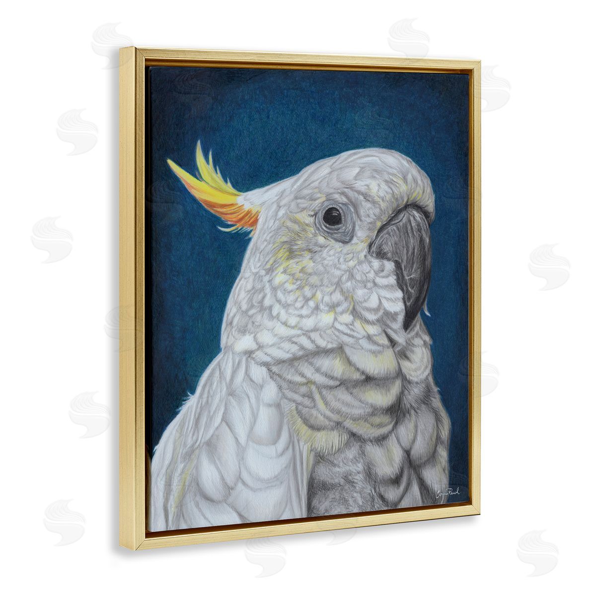 Traditional Cockatoo Visage Gold Floating Frame Canvas Wall Art, Home Decor by Connie Resch