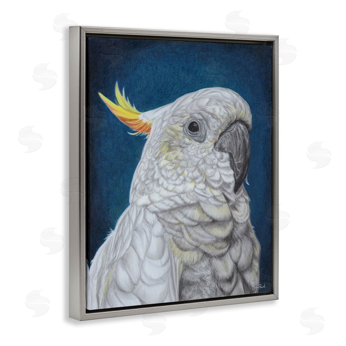Traditional Cockatoo Visage Grey Floating Frame Canvas Wall Art, Home Decor by Connie Resch