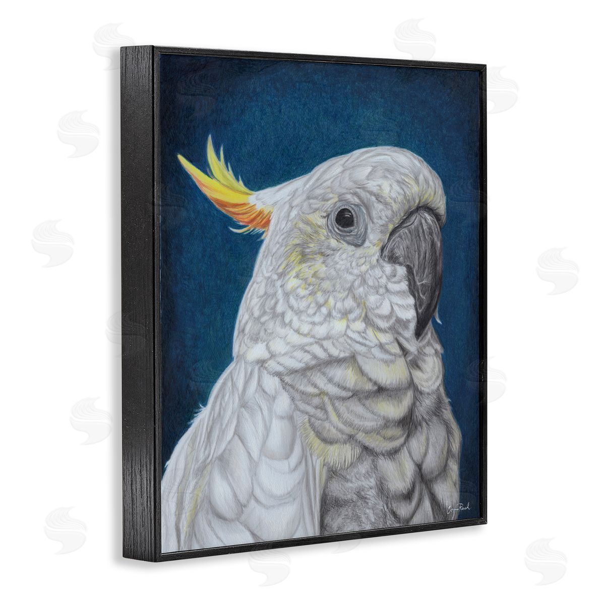 Traditional Cockatoo Visage Black Frame Print Wall Art, Home Decor by Connie Resch