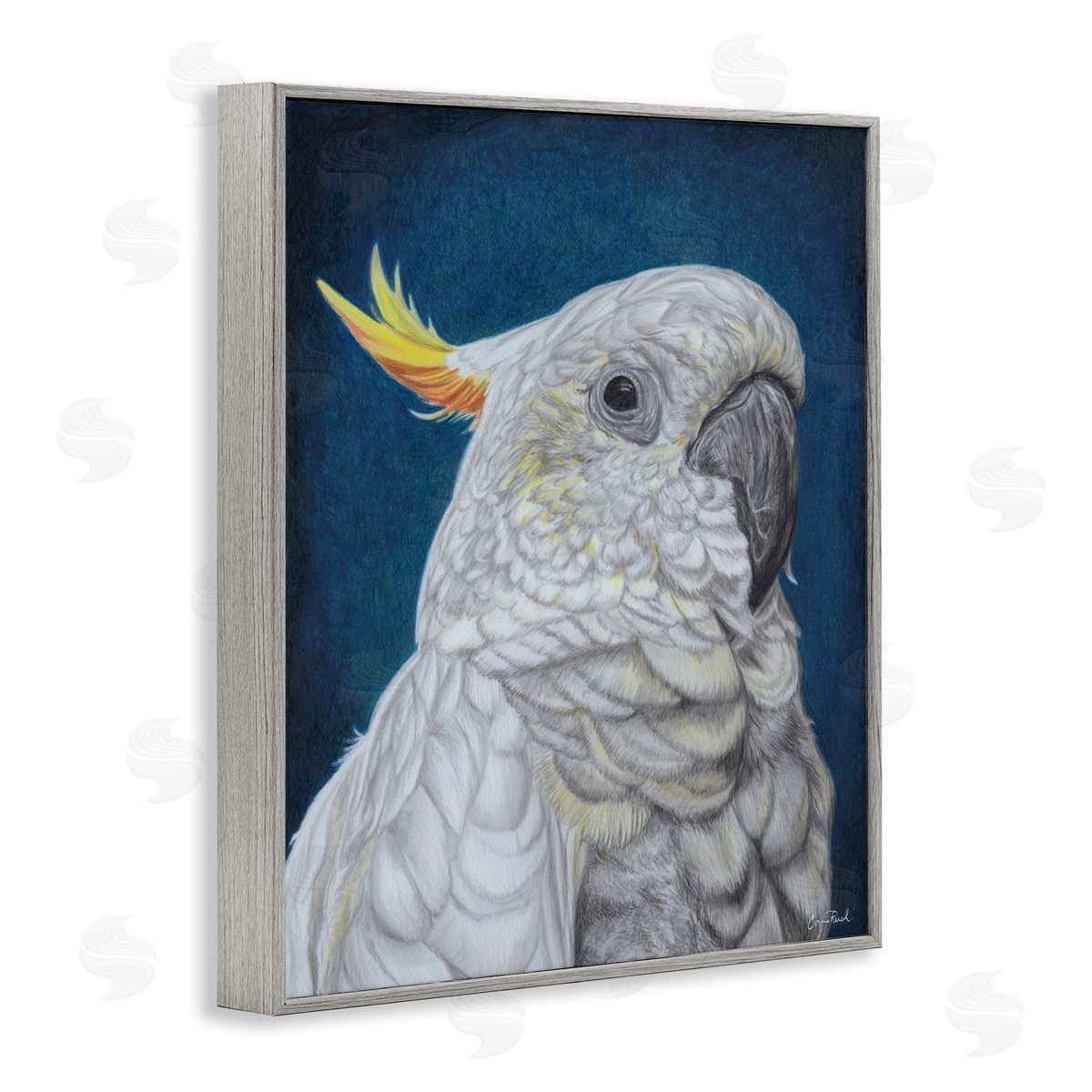 Traditional Cockatoo Visage Grey Frame Print Wall Art, Home Decor by Connie Resch