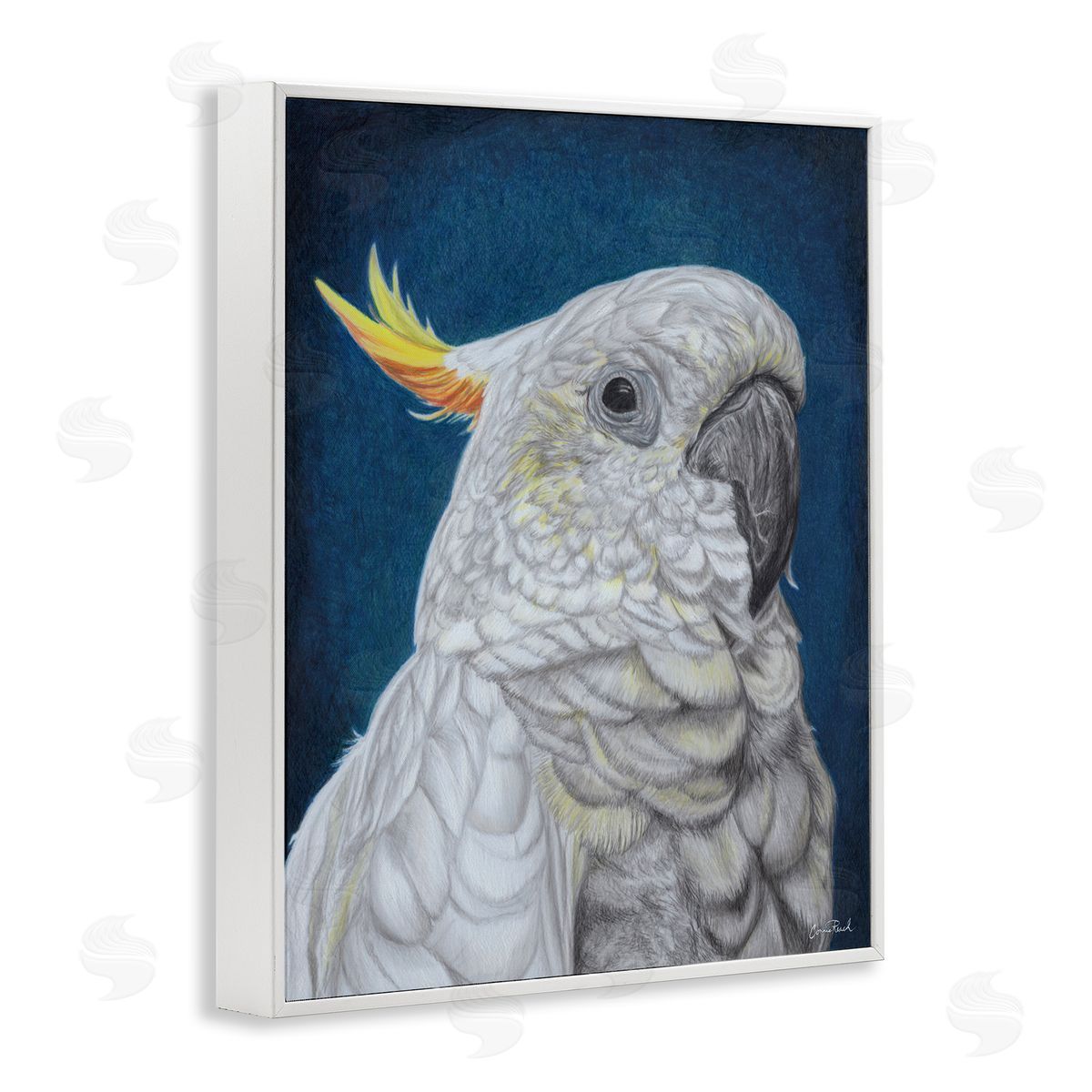 Traditional Cockatoo Visage White Frame Print Wall Art, Home Decor by Connie Resch