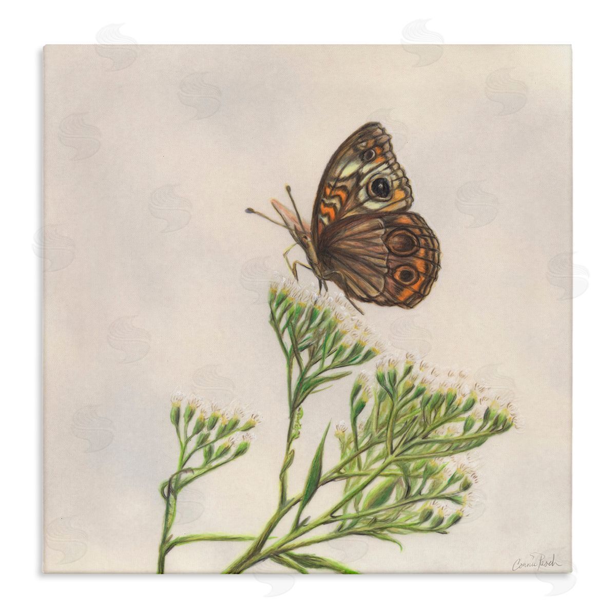 Spring Offerings Butterfly Canvas Wall Art, Home Decor by Connie Resch