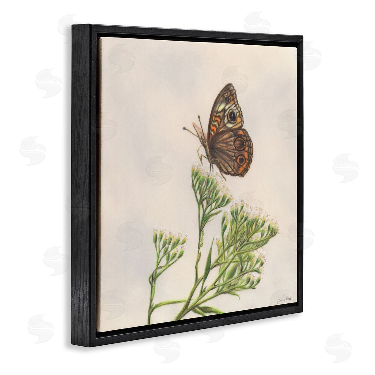 Spring Offerings Butterfly Black Floating Frame Canvas Wall Art, Home Decor by Connie Resch