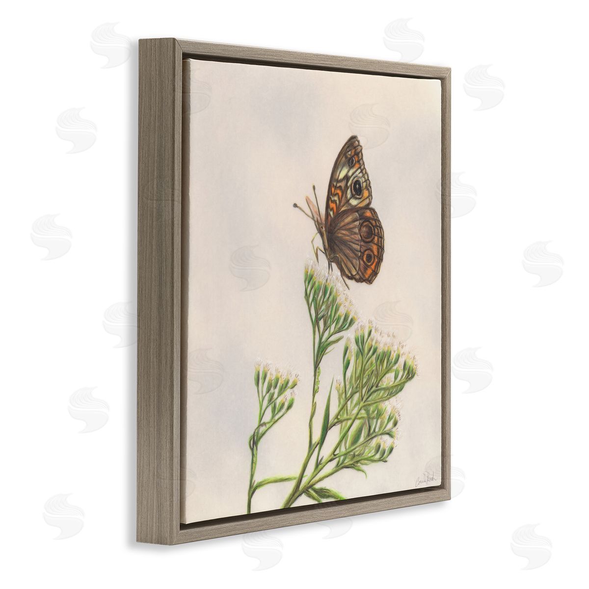 Spring Offerings Butterfly Brown Floating Frame Canvas Wall Art, Home Decor by Connie Resch