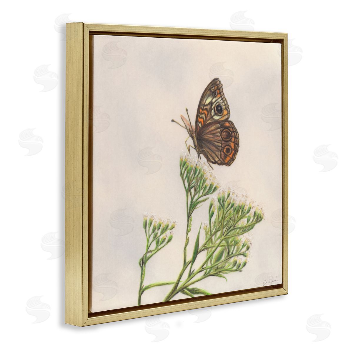 Spring Offerings Butterfly Gold Floating Frame Canvas Wall Art, Home Decor by Connie Resch